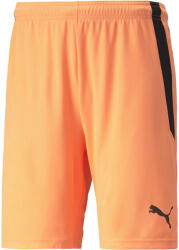 PUMA Team liga shorts l - sportisimo - 46,92 лв