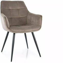 SIGNAL MEBLE Lilia Velvet Bársony Étkezőszék Sötét Bézs Fém Vázzal (SIG-LILIAVCCB)