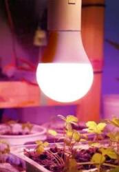 Kobi LED növénynevelő LED-fényforrás LED PLANTY GS E27 11W E27 1200K Kobi Design (KOBI-004014)