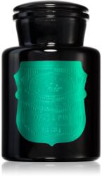 Paddywax Apothecary Noir Tabac & Pine illatgyertya 226 g
