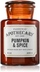 Paddywax Apothecary Pumpkin Spice illatgyertya 226 g