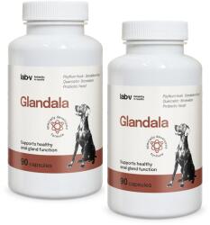 Lab-v Glandala - Susține funcționarea corectă a glandelor anale și a tractului digestiv la câini 2x90 capsule