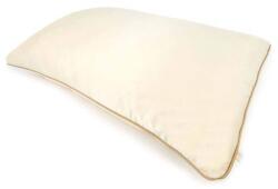 Holistic Silk - Pure Silk Pillowcase Díszpárnák