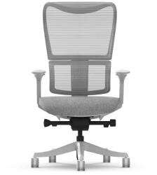 FlexiSpot Ergonomikus, többfunkciós irodai szék BS8 Pro, Szürke, 3D forgatható kartámasszal (BS8PG)