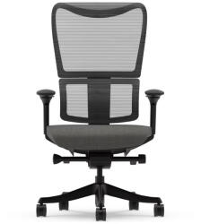 FlexiSpot Ergonomikus, többfunkciós irodai szék BS8 Pro, Fekete, 3D forgatható kartámasszal (BS8PB)