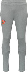 PUMA Teamevostripe Pants (65994833-pce)