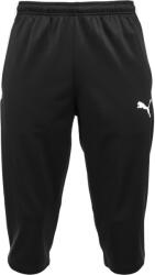 PUMA Teamliga training 3/4 pants m