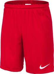 Nike Dri-fit park 3 s
