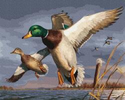 iPicasso Festés számok szerint iPicasso 40x50 cm kereten (PC4050750)