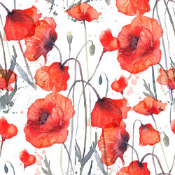 Takoy Vízálló poliészter TD/NS akvarell pipacsok - tükörmintázat