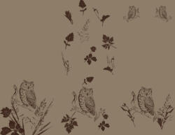 Takoy Panel babazsákra vízálló poliészter 155x120 bagoly