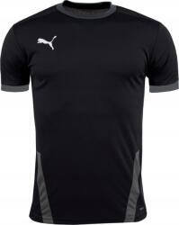 PUMA Gyerek Póló Puma Teamgoal 23 Jersey 152cm (70416003)