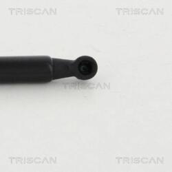 TRISCAN Amortizor Portbagaj 8710292019 Vw Golf Vii