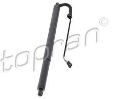 TOPRAN Motor Electric, Haion Stanga 633215 Bmw X5 (633215)
