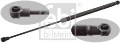 FEBI BILSTEIN Amortizor Portbagaj Spate Stanga 103843 Ford Focus Iii (103843)