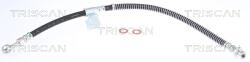 TRISCAN Furtun Frana 815043122 Hyundai Matrix (815043122)