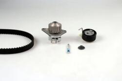 HEPU Set Pompa Apa + Curea Dintata Pk08460 Citroën Berlingo / Berlingo First/C2/C3 I