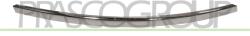 PRASCO Banda De Protectie, Bara De Protectie Spate Stanga Ad0342104 Audi A6 C6