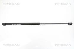 TRISCAN Amortizor, Luneta 871016251 Ford Kuga I (871016251)