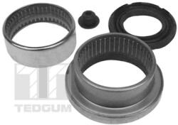 TEDGUM Rulment Cu Ace, Corp Ax 00518927 Peugeot 206/206+ (00518927)
