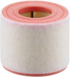 MANN-FILTER Filtru Aer C15010 Audi A6 C7/A7/A8 D4 (C15010)