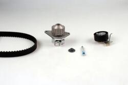 HEPU Set Pompa Apa + Curea Dintata Pk08461 Citroën Berlingo / Berlingo First/C2/C3 I (PK08461)