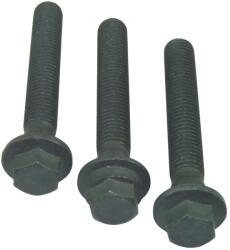 CORTECO Set Surub, Disc Curea-Arbore Cotit 80004873 Citroën Jumper Ii Ford Transit (80004873)