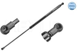 MEYLE Amortizor Portbagaj 16-409100031 Renault Laguna Iii (16-409100031)