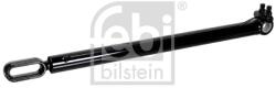 FEBI BILSTEIN Cilindru Basculare, Cabina Sofer Stanga 176391 Man Tgl I/Tgm I/Tgs I (176391)