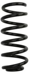 Magnum Technology Arc Spiral Puntea Spate Sr177 Renault Clio Iv