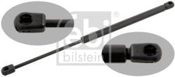 Febi Bilstein Amortizor Capota Pe Ambele Parti 29295 Hyundai Coupe I/Coupe Ii