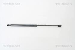 TRISCAN Amortizor Portbagaj 871029268 Vw Passat B6