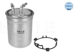 MEYLE Filtru Combustibil 1003230025 Audi A1 Seat Ibiza Iv/Toledo Iv Skoda Fabia Ii (1003230025)