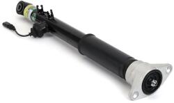Arnott Amortizor Axa Spate Stanga Sk-3561 Audi A6 C6 (SK-3561)