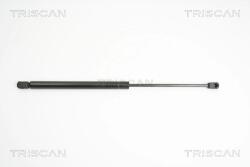 TRISCAN Amortizor Portbagaj 871024230 Opel Zafira / Zafira Family B/Zafira B (871024230)