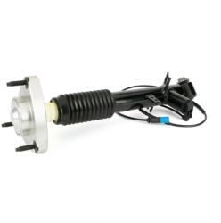 Arnott Amortizor Axa Spate Stanga Sk-3817 Bmw X5/X6