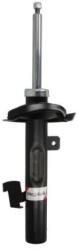 Magnum Technology Amortizor Axa Fata Stanga Agg162Mt Ford Kuga I Subaru Brz