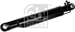 FEBI BILSTEIN Cilindru Basculare, Cabina Sofer 172299 Volvo Fe/Fe Ii (172299)