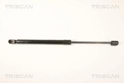 TRISCAN Amortizor Portbagaj 871043231 Hyundai I20 I