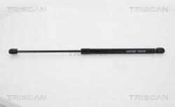TRISCAN Amortizor Portbagaj 871029294 Vw Polo/Polo V (871029294)