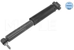 MEYLE Amortizor Puntea Spate 16-267250022 Renault Espace V/Scénic Iii/Scénic Iv (16-267250022)