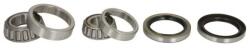 BTA Set Rulment Roata Dreapta H10304Bta Kia Besta/Carnival I/Carnival Ii/Pregio (H10304BTA)