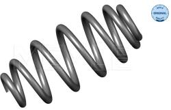 MEYLE Arc Spiral Puntea Spate 1007390009 Audi A4 B6 (1007390009)