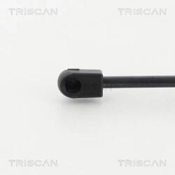 TRISCAN Amortizor Portbagaj 8710292010 Audi Q3