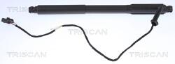 TRISCAN Amortizor Portbagaj 871011303 Bmw X5 (871011303)