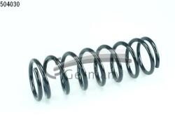 CS Germany Arc Spiral Puntea Spate 14.504. 030 Ford Focus I