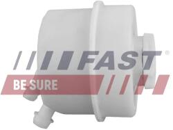 FAST Vas De Expansiune, Ulei Hidraulic (Servodirecție) Ft36300 Iveco Daily Iii (FT36300)