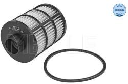 MEYLE Filtru Combustibil 6143230004 Chevrolet Captiva/Epica/Lacetti/Nubira Fiat 500 (6143230004)