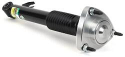 Arnott Amortizor Axa Spate Dreapta Sk-3606 Bmw X5/X6