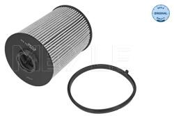 MEYLE Filtru Combustibil 5143230009 Ford Mondeo Iv Volvo C30/C70 Ii/S40 Ii/S60 Ii/V40